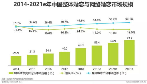 2019年中國(guó)網(wǎng)絡(luò)婚戀交友行業(yè)企業(yè)網(wǎng)絡(luò)技術(shù)服務(wù)研究報(bào)告